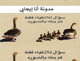 لغز كم بطة في الصورة Movie Posters Duck Movies