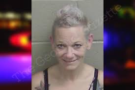 Rita Foley — Wayne County Jail Bookings