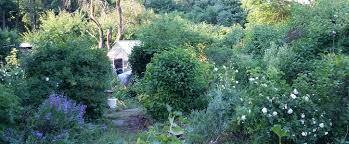 Doch permakultur funktioniert auch im garten oder sogar auf dem balkon. Karin Schonbergers Permakulturgarten Die Weisse Rose Haselhorst Muss Bleiben Weact