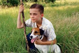 A Boy And His Dog Movies For Your Young Dog Whisperer The Instillery Dog Movies Dog Films Dog Whisperer