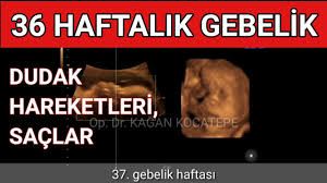 anne karnindaki bebegin boyu nasil hesaplanir hesaplayici linki aciklamada youtube