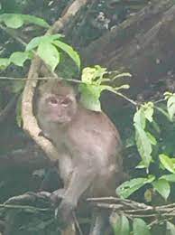 في هذا القسم تضع الادارة أفضل المواضيع التي كتبت بأقلام أعضاء الشبكة الليبرالية الحرة في جميع اقسامها. ØªØ¹Ù„ÙŠÙ‚Ø§Øª ÙˆÙ…Ù‚Ø§Ø±Ù†Ø© Ø£Ø³Ø¹Ø§Ø± ÙÙ†Ø¯Ù‚ Ù‡ÙˆØªÙ„ Ø¨Ø§Ù†Ù…Ø§ÙŠ Ø±ÙŠØ²ÙˆØ±Øª Ø®Ø§Ùˆ Ø³ÙˆÙƒ Khao Sok National Park ØªØ§ÙŠÙ„Ø§Ù†Ø¯ ÙÙ†Ø¯Ù‚ Tripadvisor