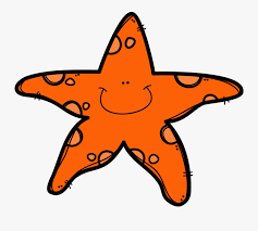 Transparent Sea Anemone Clipart Starfish Free Transparent Clipart Clipartkey Similar png clipart ready for download. transparent sea anemone clipart