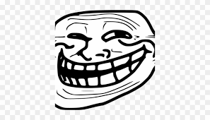 Image result for derp