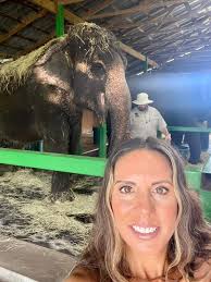 Myakka Elephant Ranch is a non-profit conservation center. From tusk to  tail they strive to educate their guests