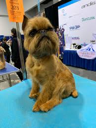 Atlanta pet expo also features pet service providers, all products for pets, pet grooming salons, pet shops, pet resorts & recreations, veterinary vaccines, cat & dog food and fun activities for pets. Photo Gallery Atlanta Pet Fair