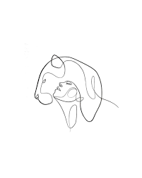 Dessin Au Trait Continu Continu Dessin Ligne Rare Collision D œcelui Sur Seul Projet En Compagnie De Line Drawing Tattoos Line Art Tattoos Line Drawing