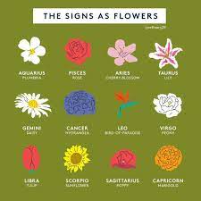 The changes make cells start to grow and multiply too much. What S Your Flower Symbol And Do You Agree Zodiacsign Flowers Astrology Zodiackiller Zodiacpeople Zodia Flower Symbol Virgo Flower Sagittarius Flower
