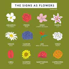 Cancers tend to dress in a way that expresses their sensitive emotions. What S Your Flower Symbol And Do You Agree Zodiacsign Flowers Astrology Zodiackiller Zodiacpeople Zodiacs Flower Symbol Virgo Flower Sagittarius Flower