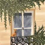 French Window Feline