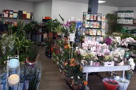 Bahce Market On Twitter Pendik Bahce Market Bahce Marketlerin Adreslerini Https T Co Yitpxosofi Web Sitesi Iletisim Bolumunden Gorebilirsiniz Bahcemarket Pendikbahcemarket Doga Bitki Cicek Peyzaj Persembe Bahce Bahceyedairhersey