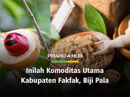 Namun pada artikel kali ini admin hanya fokus menjelaskan. Batu Kapur Jenis Kegunaan Serta Manfaatnya