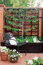 This is an exceptional trellis design for your backyard. 140 Best Backyard Trellis Ideas Trellis Backyard Backyard Trellis