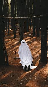  Ghost Photoshoot Challenge Tiktok Imagens De Fantasmas Fantasias De Fantasma Figuras Retro