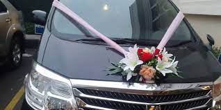 We did not find results for: Hiasan Mobil Pengantin Rental Mobil Pekanbaru Sewa Mobil Pekanbaru Murah
