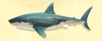 A shark, a large, stealthy fish with many teeth. Great White Shark Animal Crossing Wiki Fandom