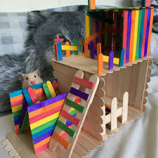 This Would Be Fun To Make I Don T Think Coloured Popsicle Sticks Are Safe So Just Use The Plain Ones To Be Safe Hamster Diy Hamster Habitat Hamster Toys