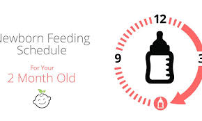 2 Month Old Feeding Schedule Baby Earth