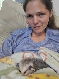 Opossums: Benefits and Interesting Facts