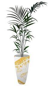 Best Plants Png Indoor 51 Ideas Plant Aesthetic Plants Flowering House Plants