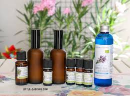 Diy Le Spray Anti Moustiques Et Anti Insectes Naturel Pour Toute La Famille En 2020 Moustique Anti Insecte Anti Moustique