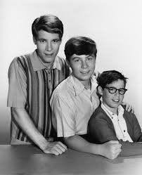 Pictures Photos Of Barry Livingston My Three Sons Actors Actors Actresses