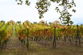 Por favor asegúrese que su contraseña tiene al menos 8 caracteres y que. Cosas Que Hacer En El Valle Del Duero