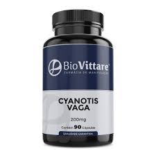 Image result for Cyanotis vaga