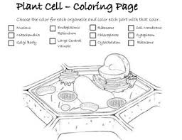 Check spelling or type a new query. Plant Cell Coloring Page By Jeremy Scholz Teachers Pay Teachers