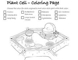 Maybe you would like to learn more about one of these? Plant Cell Coloring Page Worksheets Teaching Resources Tpt