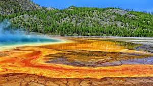 Download Wallpaper Trees Wyoming Wyoming Yellowstone National Park Grand Prismatic Yellowstone Yellowstone National Park Yellowstone National Park Montana