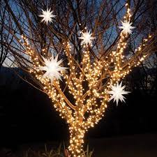 Check spelling or type a new query. Sam S Club Christmas Hanging Decorations Outdoor Christmas Lights Holiday Lights Outdoor