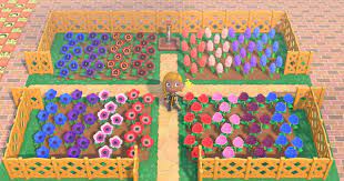 We did not find results for: Acnh Flower Field Ideas How To Make A Flower Bed Animal Crossing Gamewith