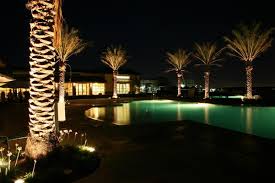 Palm Tree Light Lawnsite Com Lawn Care Landscaping Professionals Forum