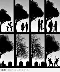 Circle Of Life Funny Pictures Circle Of Life Humor