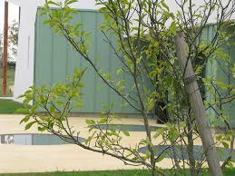 We did not find results for: Chateau Thebaud 44 Crematorium