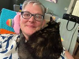 Where to take a cat for grooming?