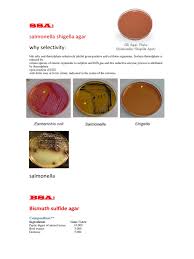 With conventional biochemical tests were. Type Of Agar