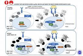 Anaphylaxis is a medical emergency. Researchers Identify A New Molecular Mechanism Related To Severe Anaphylaxis Eurekalert Science News
