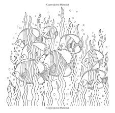 Coloring pages for kids national geographic animals coloring pages. Pin On æ¤ç‰©