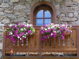 Se usan desde hace siglos para decorar balcones y patios andaluces, por su. Http Www Forodefotos Com Attachments Fotos De Casas Y Arquitectura 11943d1275670426 Balcones Con Flores Balcone Balcones Para Ventanas Flores Balcon Balcones