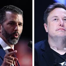 Donald Trump Jr. Floats Government Job for Elon Musk