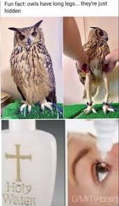 I Need Bleach Funny Relatable Memes Funny Animal Memes Hilarious