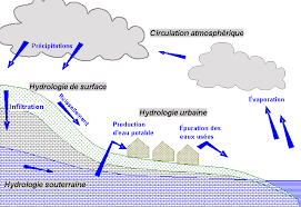 Les activités suivantes aideront les élèves à comprendre les étapes du. Hydrologie