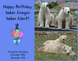 0 mitglieder und 1 gast betrachten dieses thema. Feinen Zweiten Burzeltag Lieber Gregor Lieber Aleut Eisbarblond