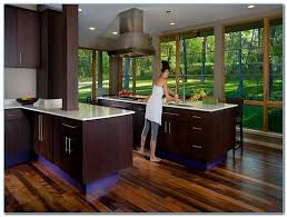 They bring a certain dash of classiness to the room however they are used. Kitchen Design Ideas With Dark Wood Cabinets Woodsinfo