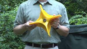 If anyone has a cyclone rake and is thinking of trading in or up, i'm in the market. Cyclone Rake Canada Learn About The Cyclone Rake Miracle Impeller Facebook
