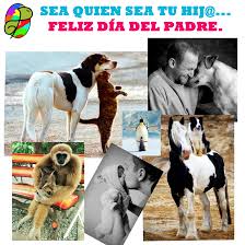 Multitud de peludos de la comunidad de doglovers de el galgo azul forman parte de este estampado tan especial llamado amor perruno. Feliz Dia Del Padre Amor Entre Especies El Blog Animal Perro Verde Y Gato Negro