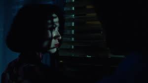 Image result for Rouge Furio 1987 Fleet