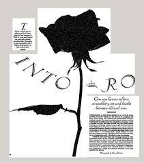 This document is designed to be used as a tool to assist in identification of insects found. Into The Rose Garden The New York Times